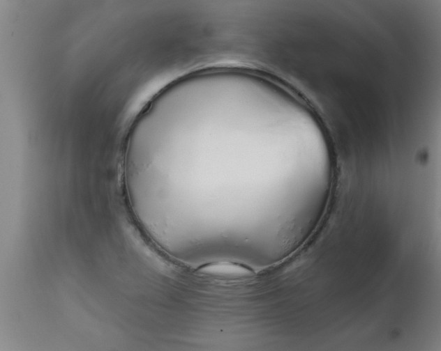 X0000112521367200909071323