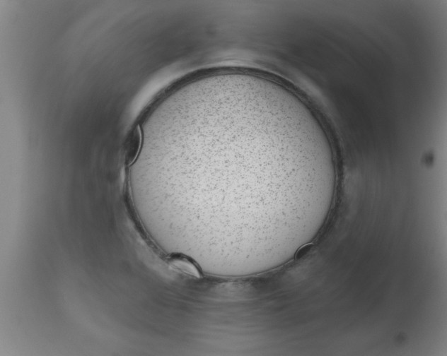 X0000112521368200909071323