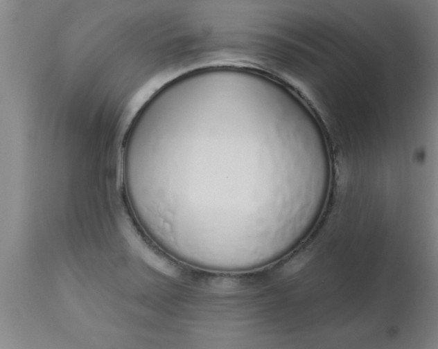 X0000112521371200909071323