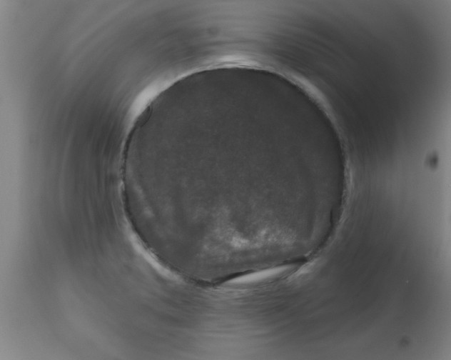 X0000112521373200909071323