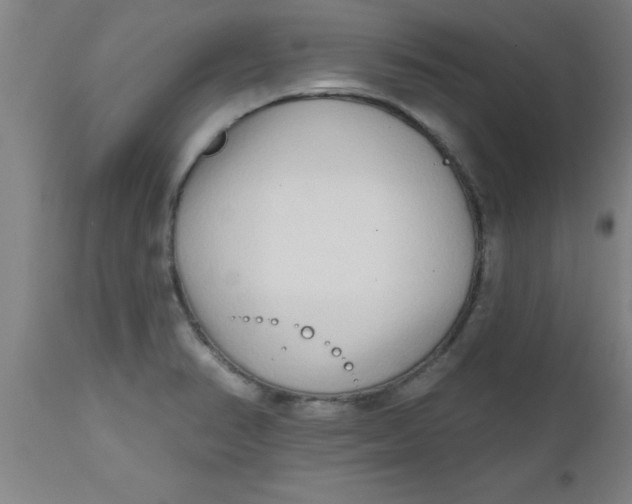 X0000112521374200909071323
