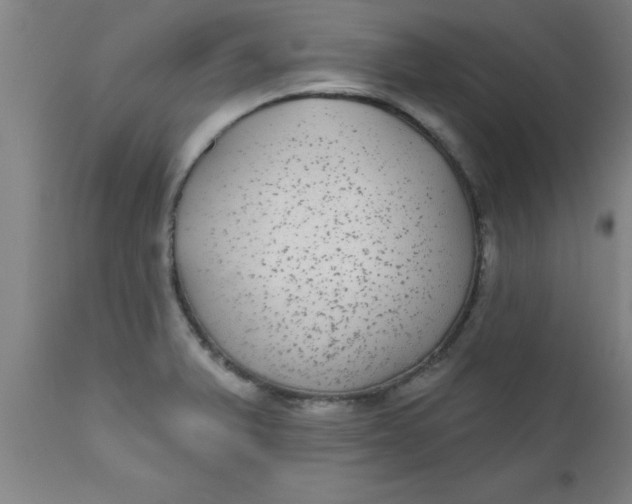 X0000112521375200909071323