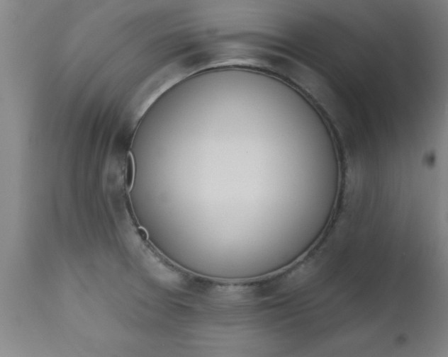 X0000112521377200909071323