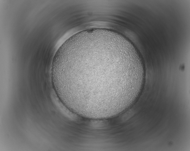 X0000112521378200909071323