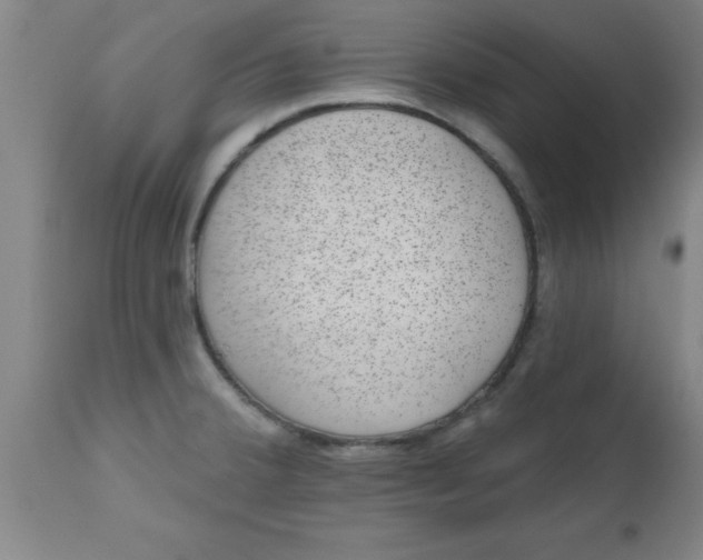 X0000112521380200909071322