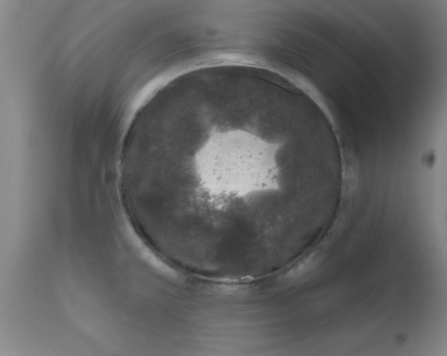 X0000112521381200909071322