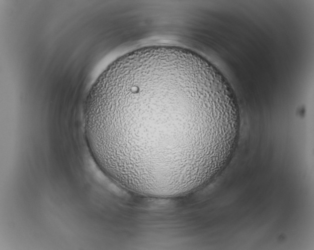 X0000112521382200909071322