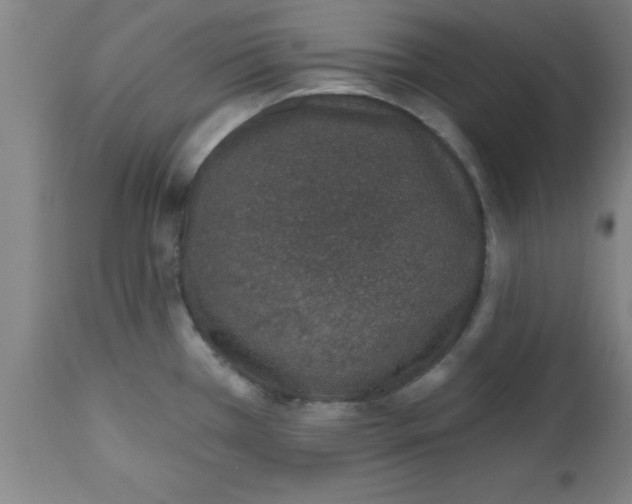 X0000112521385200909071322
