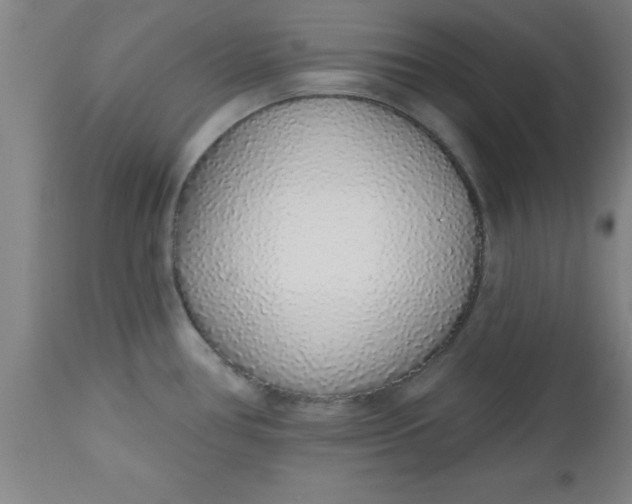 X0000112521386200909071322
