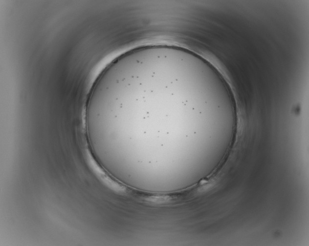 X0000112521388200909071322