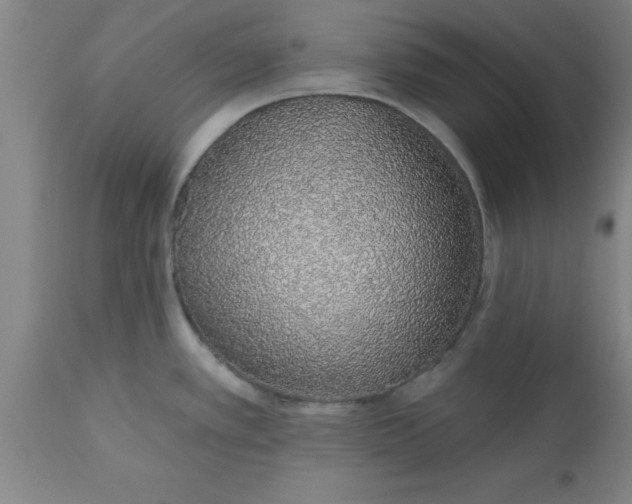 X0000112521389200909071322
