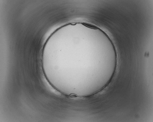 X0000112521392200909071322