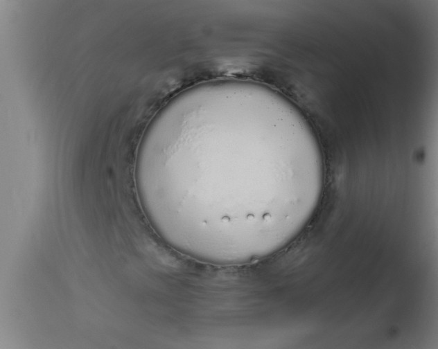 X0000112521393200909071321