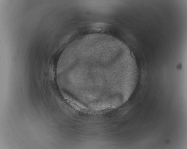 X0000112521394200909071321