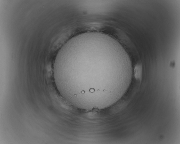 X0000112521395200909071321