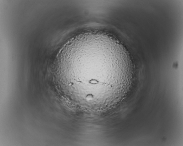 X0000112521397200909071322