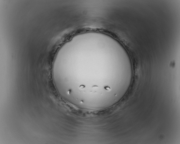 X0000112521398200909071322