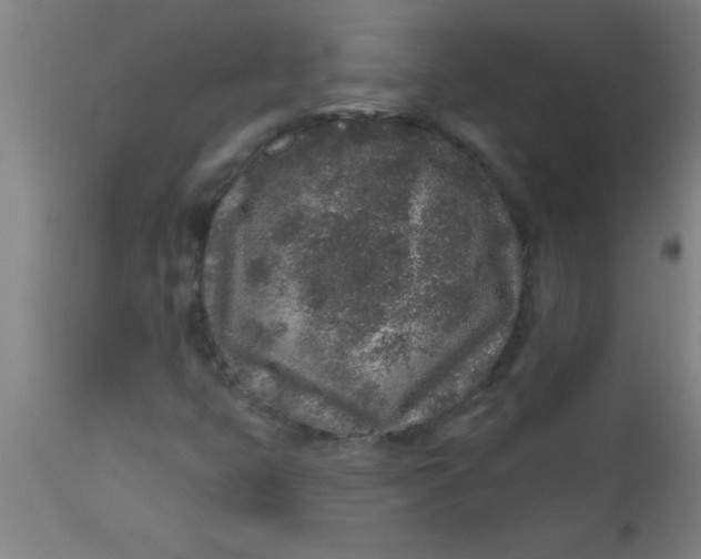 X0000112521399200909071322