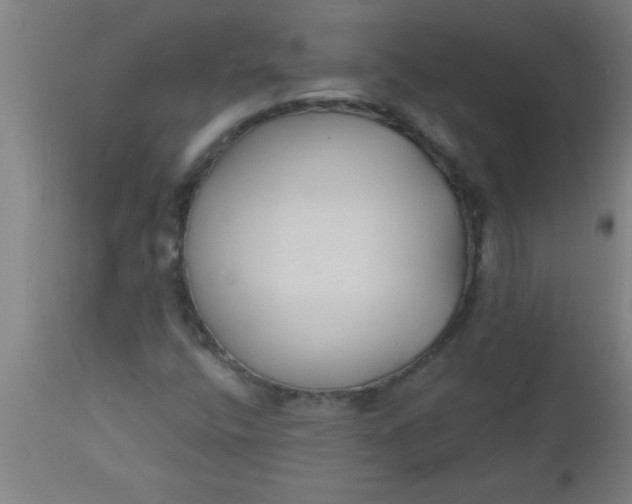 X0000112521400200909071322