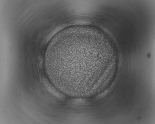 X0000112521401200909071322