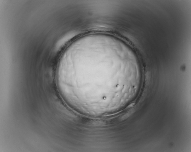 X0000112521402200909071322