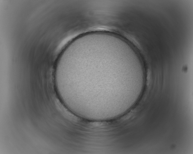 X0000112521404200909071322