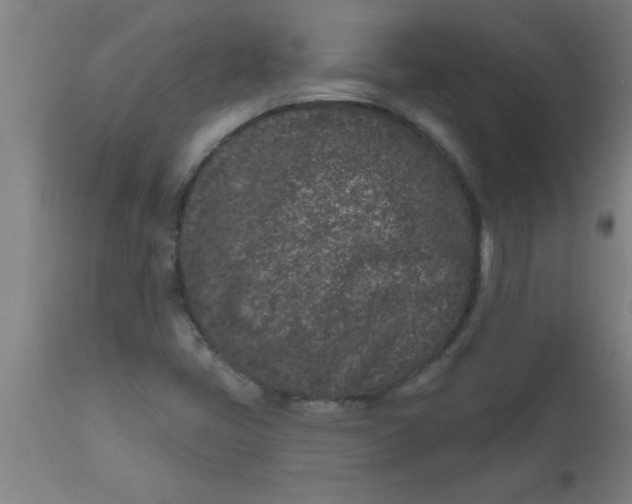 X0000112521405200909071322