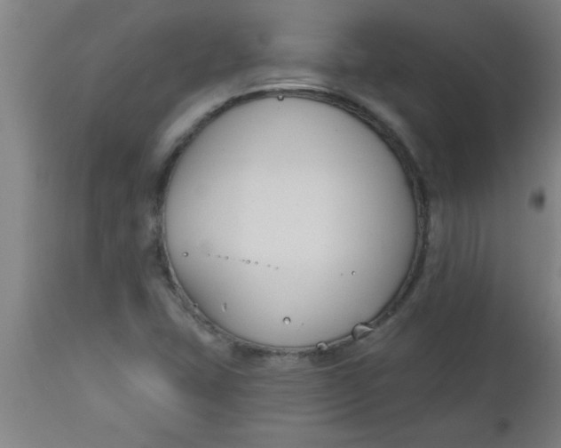 X0000112521407200909071322