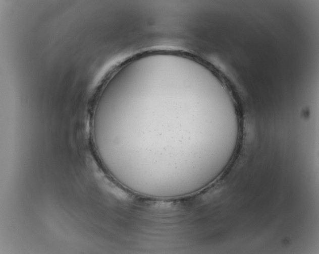 X0000112521408200909071322