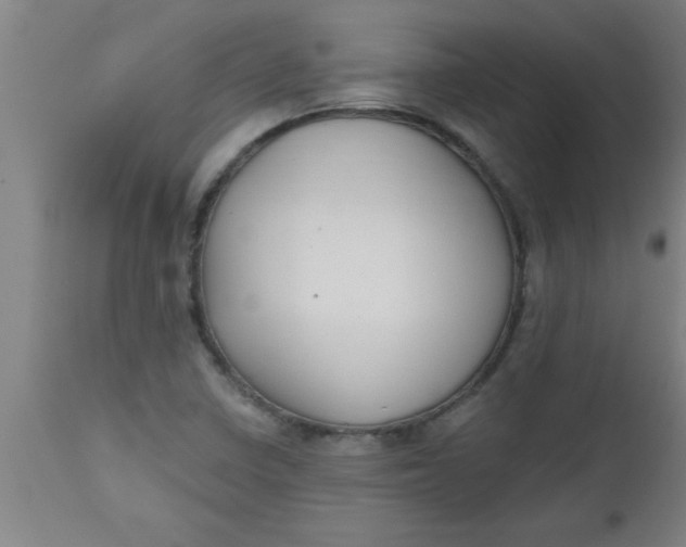 X0000112521410200909071322