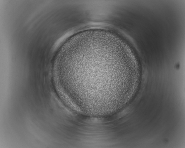 X0000112521411200909071322