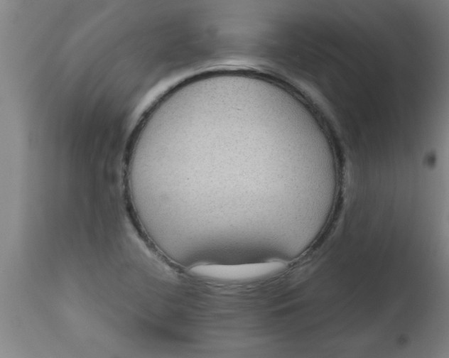 X0000112521412200909071322