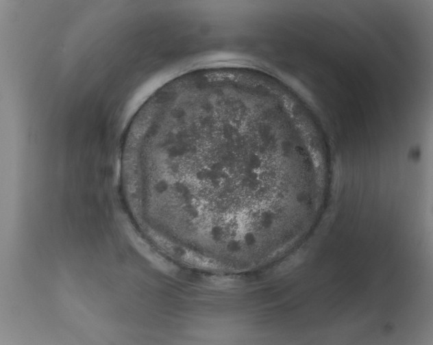X0000112521413200909071322
