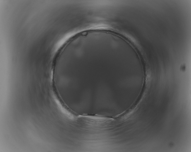 X0000112521414200909071322