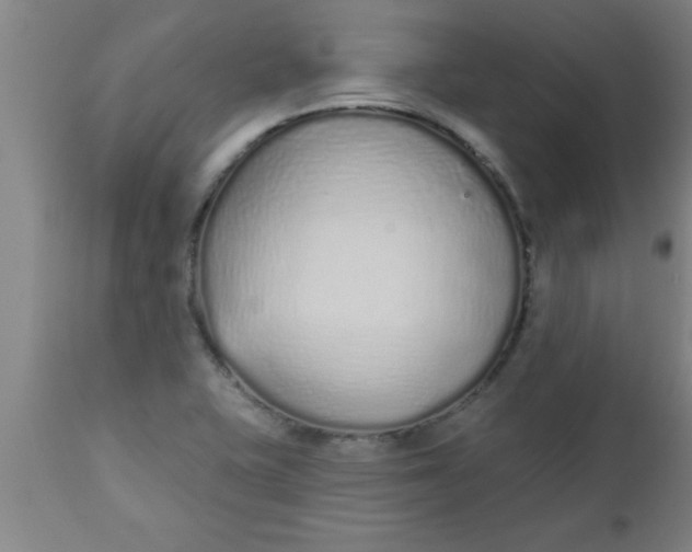 X0000112521415200909071322