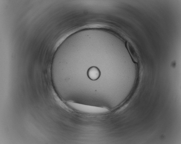 X0000112521417200909071322