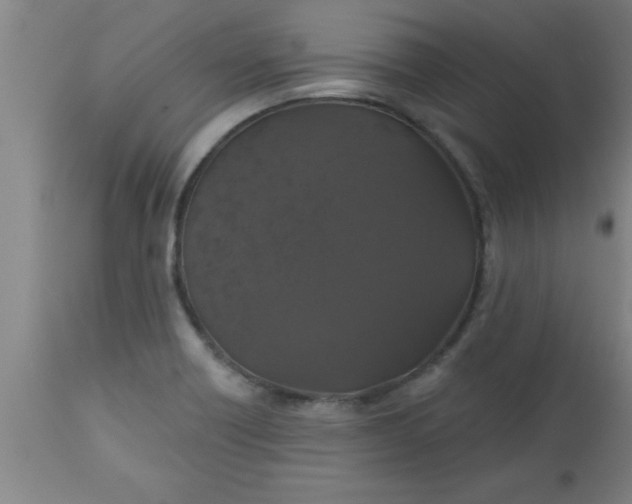 X0000112521418200909071322