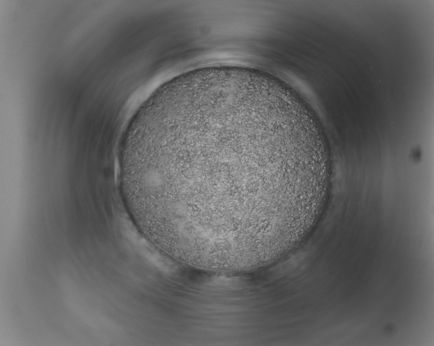 X0000112521419200909071322