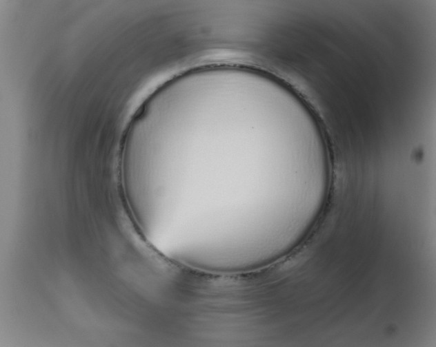 X0000112521421200909071322
