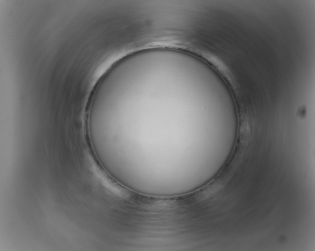X0000112521423200909071322