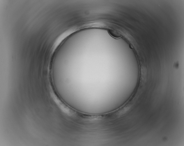 X0000112521426200909071322