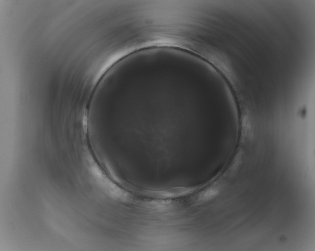 X0000112521428200909071322