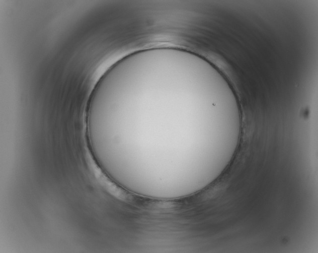 X0000112521431200909071322