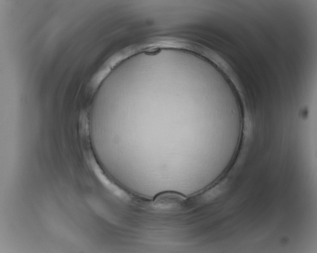 X0000112521433200909071322