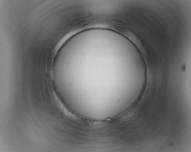 X0000112521436200909071322