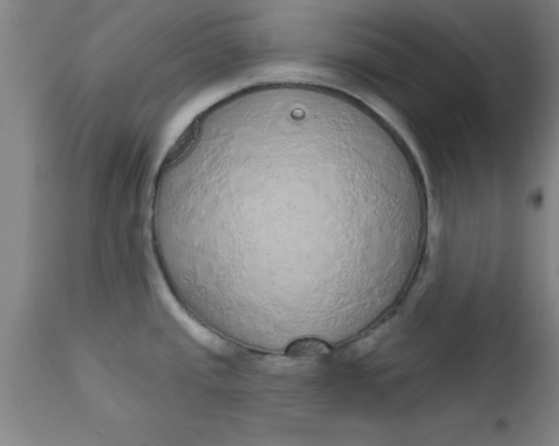 X0000112521437200909071322