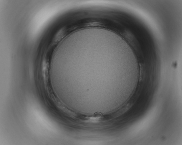 X0000112521438200909071322