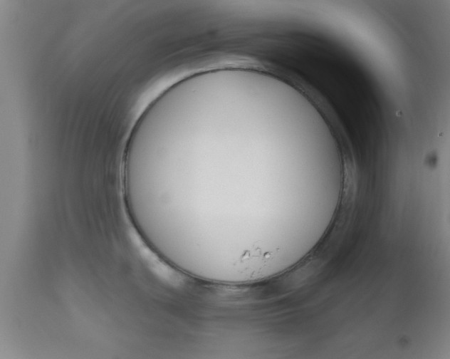 X0000112521439200909071322