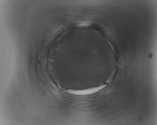 X0000112521441200909071321