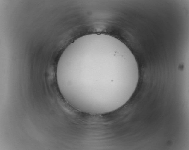 X0000112521442200909071321